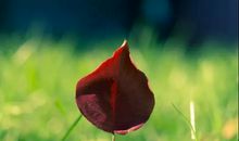 2021最走心的经典句子