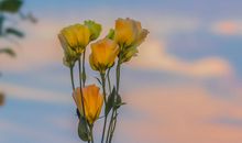 送给高中生的优美句子