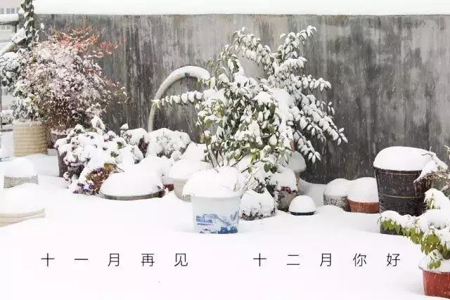 十二月你好，你自己的简短句子2