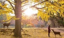 兄妹相聚开心的句子