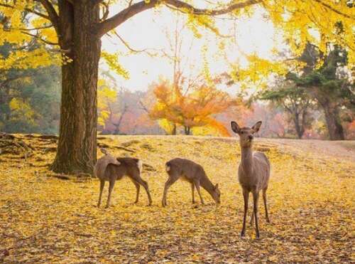 哥哥和姐姐在一起开心的句子1