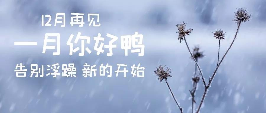 你好一月文字图片2