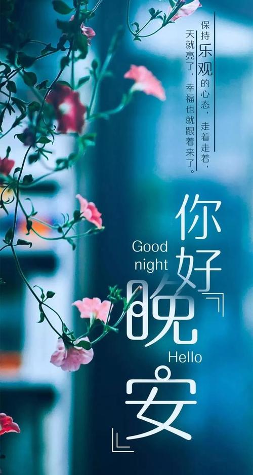 美丽的晚安行情温暖