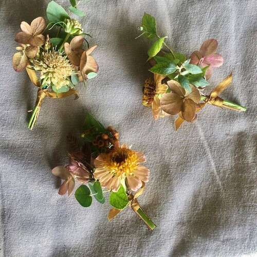 牛年老师的祝福1