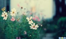 让人深刻考虑的朋友圈暖说说