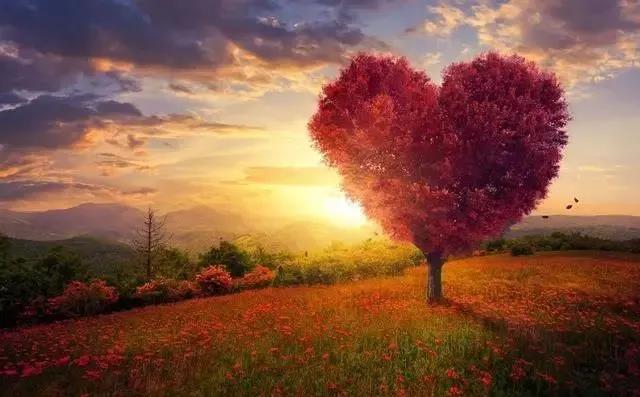 12月2日的情绪词组