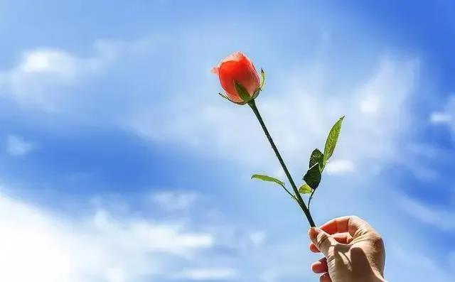 12月1日的情绪词组