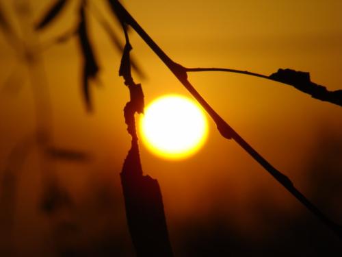 缓解心痛的句子2