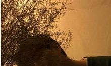 难忘的今天心痛是句子