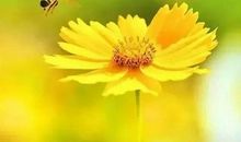 微信早安正能量问候语