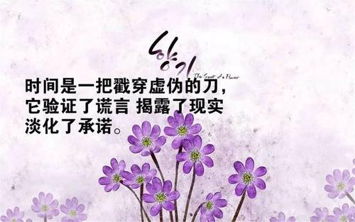 女孩独立励志句子