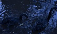 同事在一起的开心句子