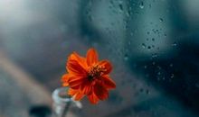 让前男友看了心痛霸气的句子