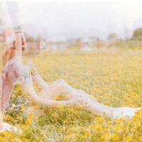 关于沧桑的声明1