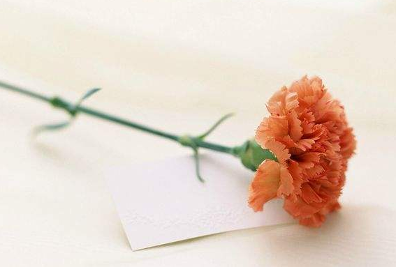 赞美母亲的句子赞美母亲的经典语录1