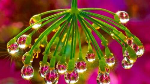 用来描述导致女人心痛的男人迟交的句子2