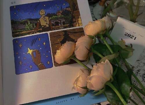 赞美老师的经典优美句子,赞美老师的感言2