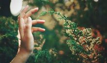 珍藏版唯美文艺好句