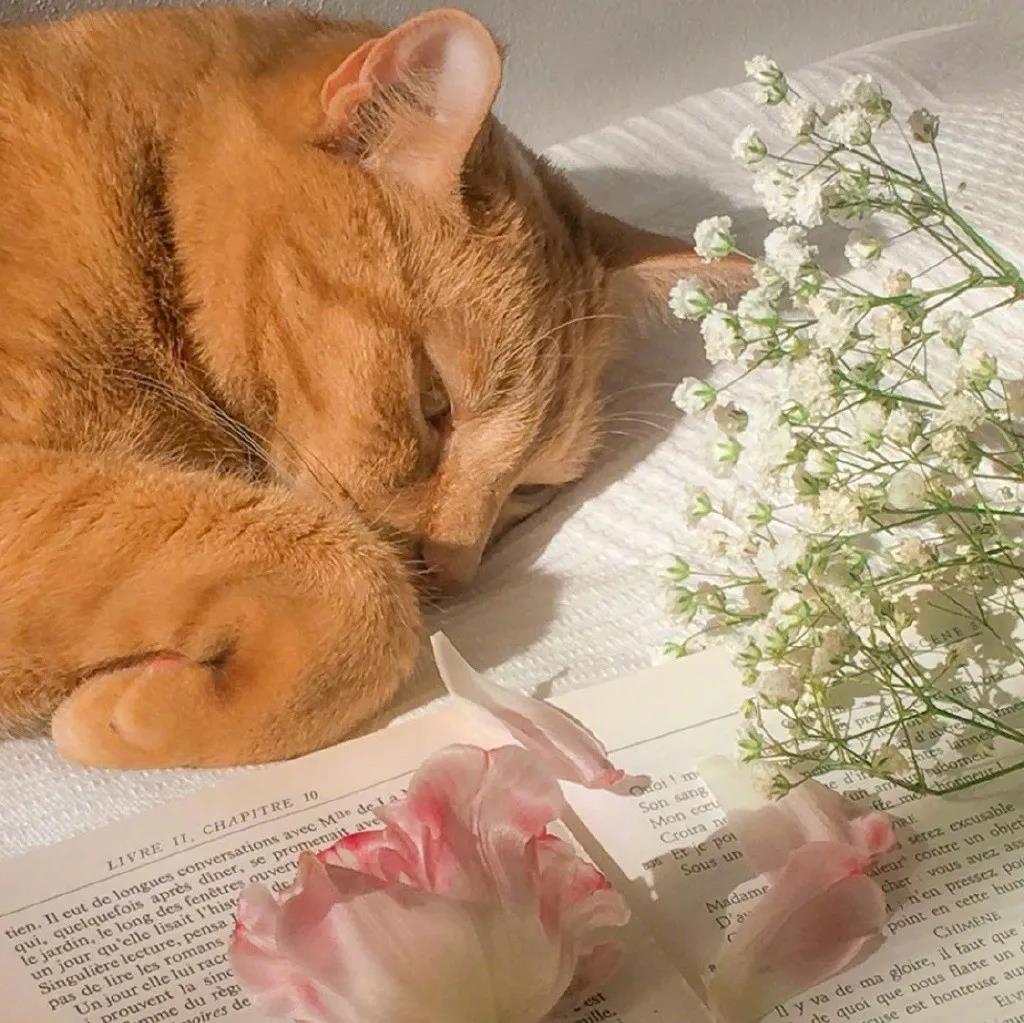 谈谈冬天醒来的困难1