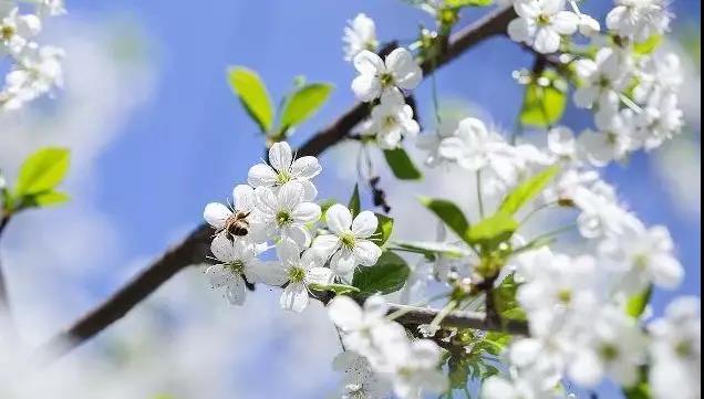 感觉到我自己的谈话