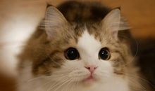 和孩子在一起开心的句子