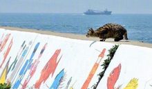 希望宝宝开心快乐的句子