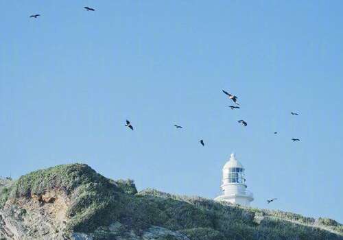 一起旅行的快乐句子1