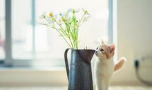 抖音很火的短句八个字