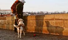 看透人生的句子 简短