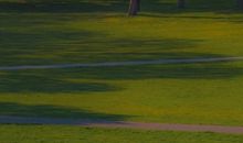 森林公园开心一游的经典句子