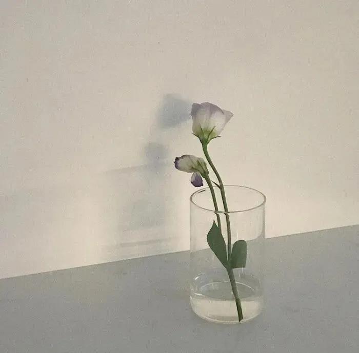 简短明了的句子2