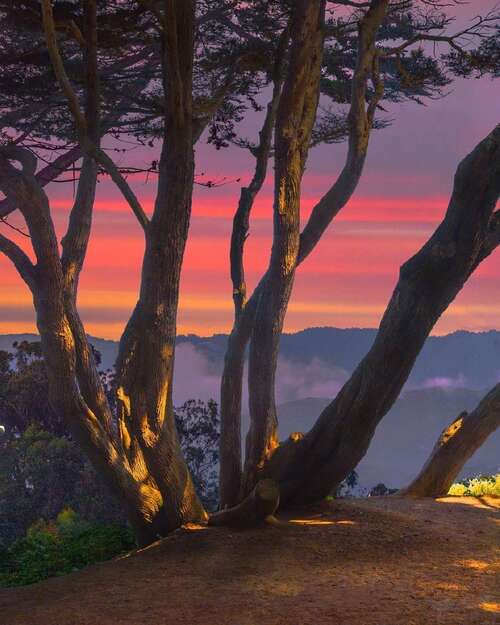 爱甜蜜的头发领带句子2