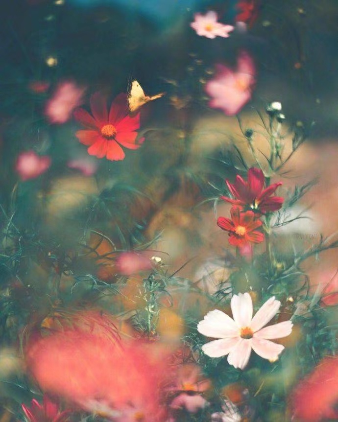 牛年一到十的祝福2