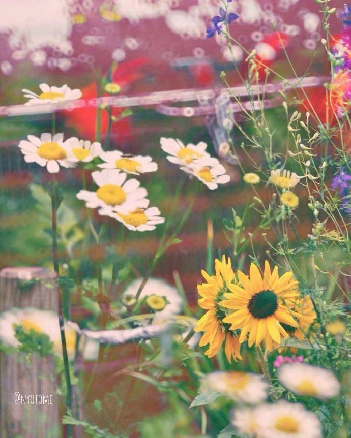 牛年一到十的祝福1