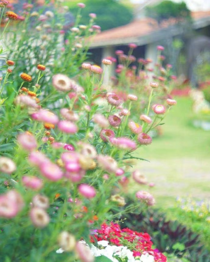 牛年的一到十个祝福