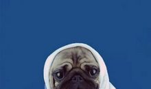 好朋友要见面了开心的句子