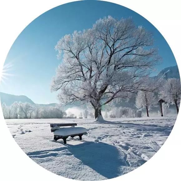 Xiaohan Solar条款谈论祝福讯息1