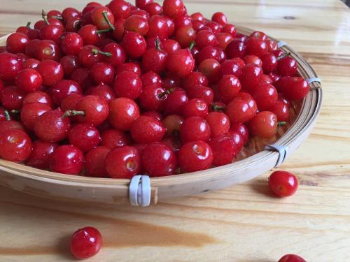 想念你快乐的句子1