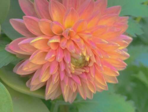 2020 Tik Tok热门句子只选一个精妙的句子1