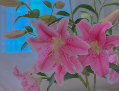 2020豆阴热句选一个精妙的句子