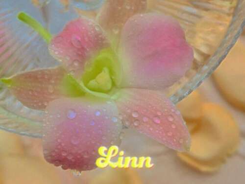 经典微信句子在几秒钟内就被高EQ发圈称赞2