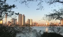 开心舒服的优美句子