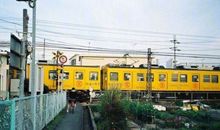 形容结伴出行开心的句子