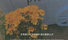 极度委屈的句子