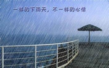 下雨的诗句美丽的诗句