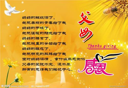 感恩和激励的句子