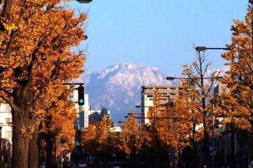 用来形容太极拳的句子