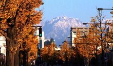 形容练太极很开心的句子