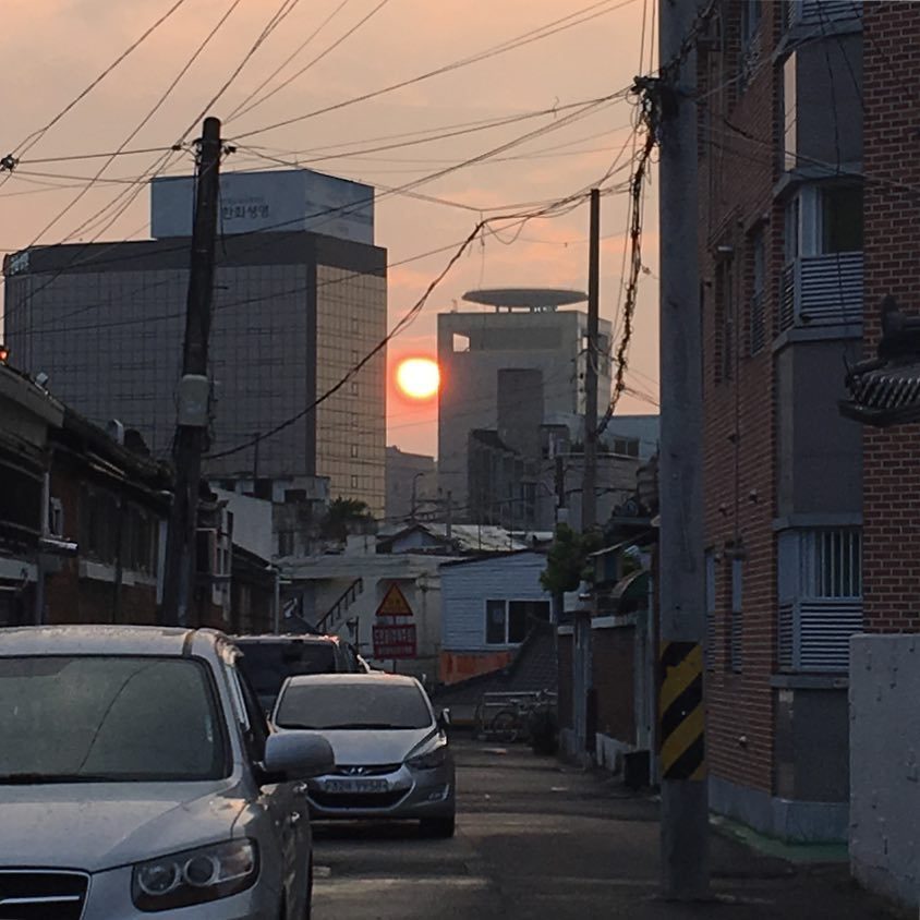 多情的爱情句子