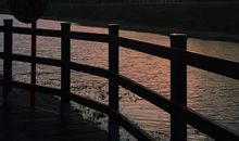 一句话让你泪流满面